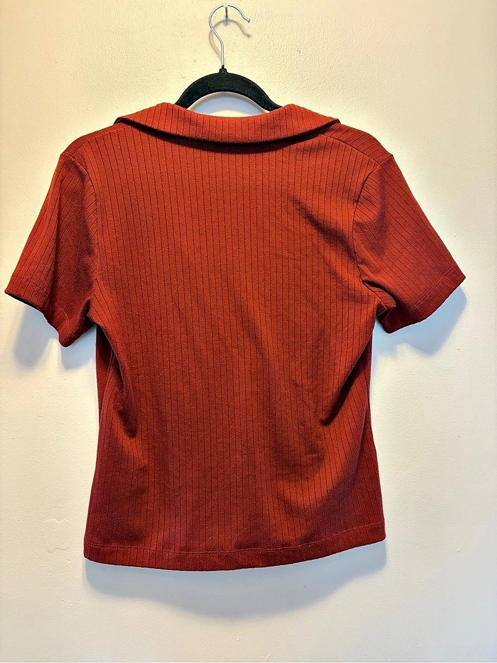 Dynamite Ribbed Short Sleeve Top in Rust Size Large - Picture 2 of 3